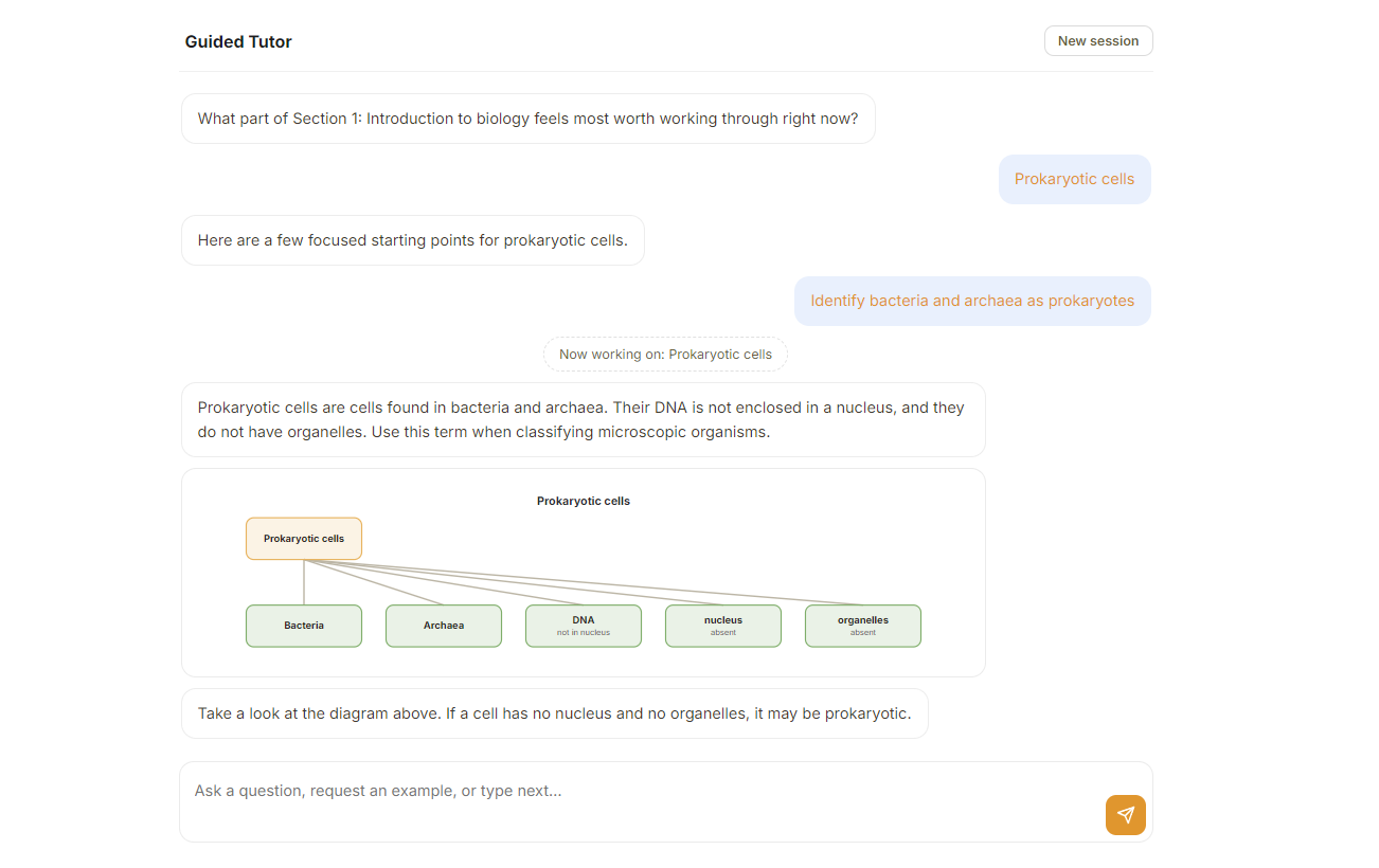 The guided AI tutor walking through prokaryotic cells with a concept diagram